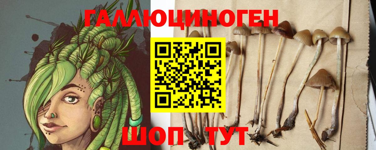 Галлюциногенные грибы Magic Shrooms Ессентуки