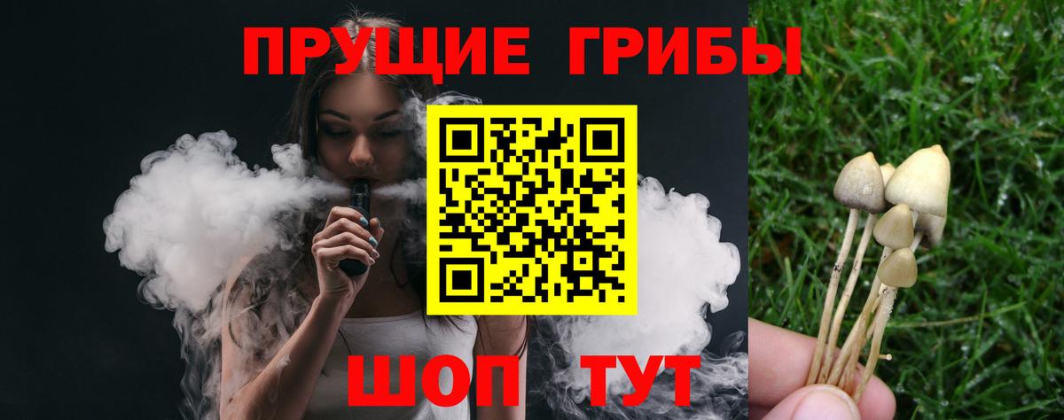 Псилоцибиновые грибы Magic Shrooms  Галлюциногенные грибы Psilocybine cubensis  Ессентуки  Вход с VPN 